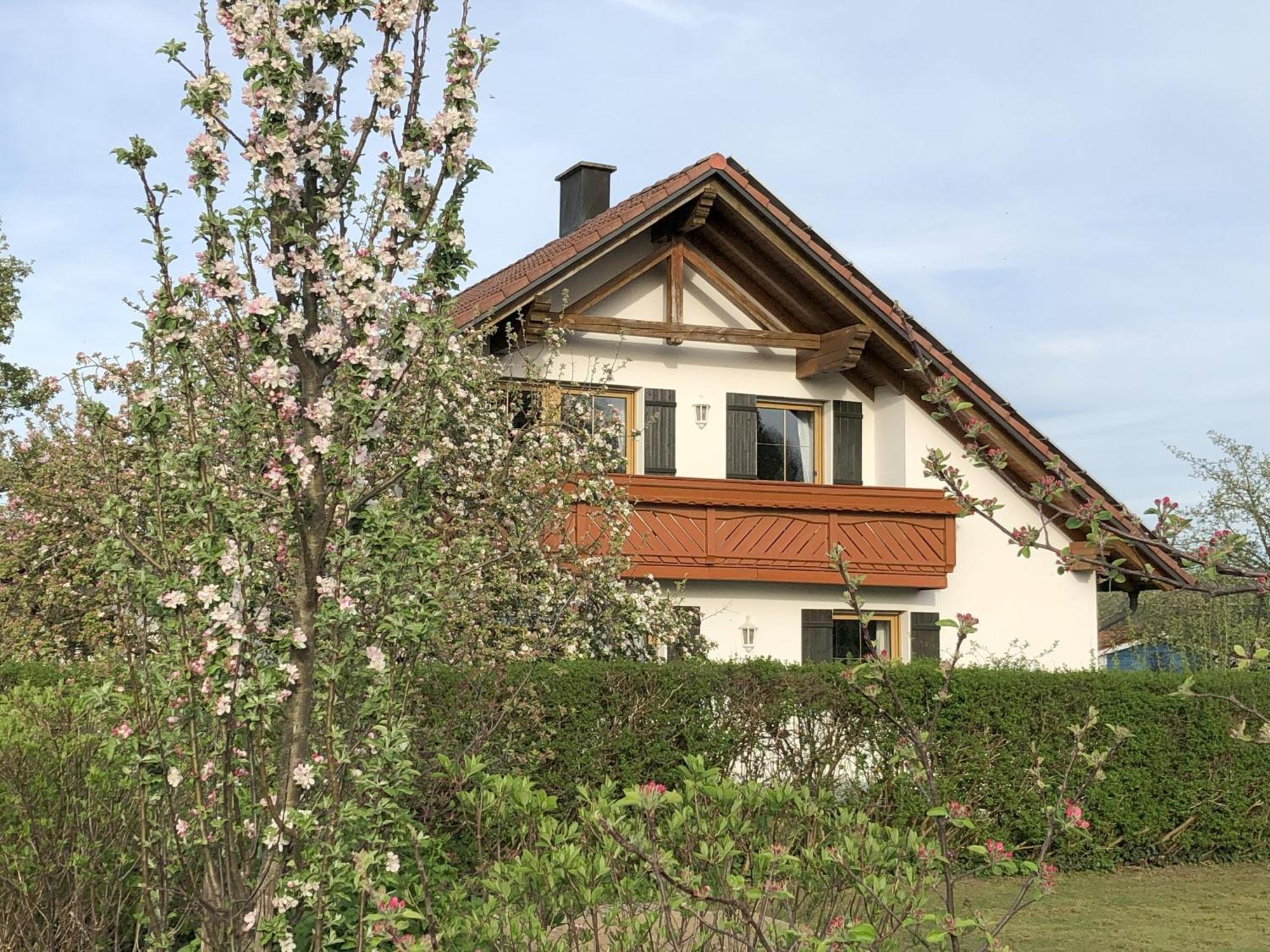 Apartment Immenberg Dirlewang