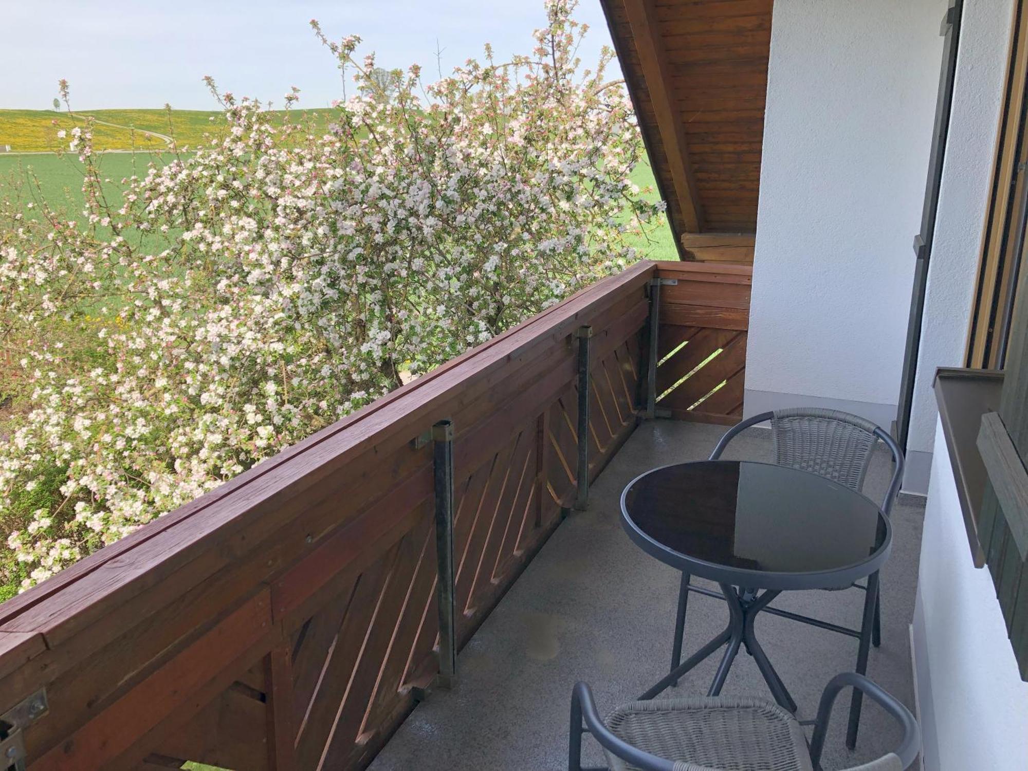 Apartment Immenberg Dirlewang